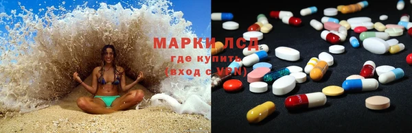 прущие крисы Аркадак